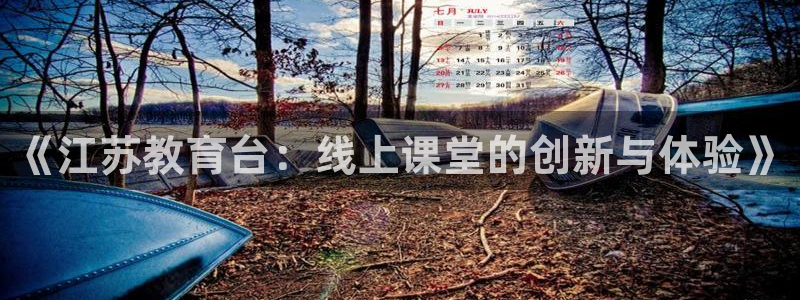 cc35tv鲸鱼体育：《江苏教育台：线上课堂的创新与体验》